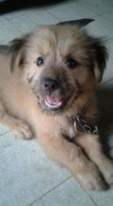 The friendship is fur real